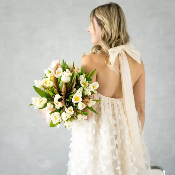 Dsc 2643 0x700 0x700 1